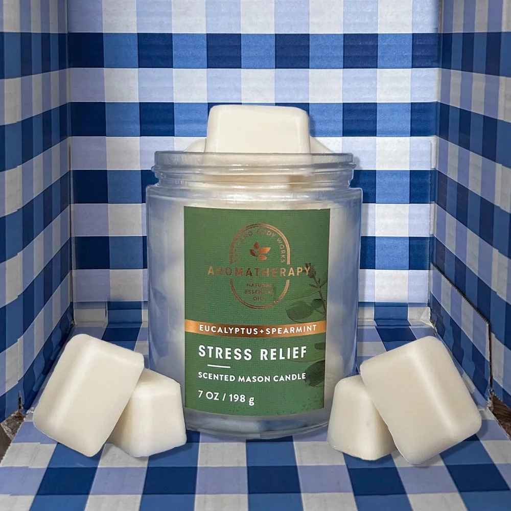 ✨3/$25✨Bath and Body Works Eucalyptus Spearmint Wax Melts - Picture 1 of 4